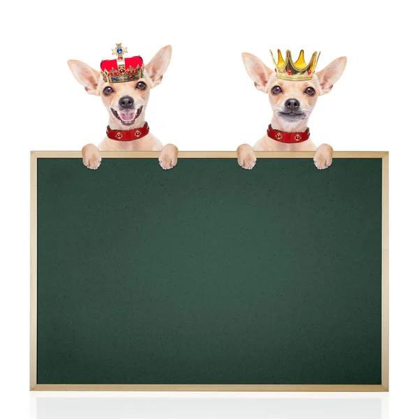 Zwei Hunde Kronen Mit Kreidetafel — Stockfoto