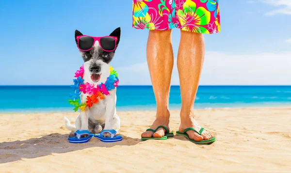 Hund Und Besitzer Den Sommerferien — Stockfoto