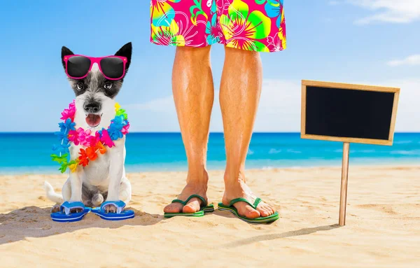 犬と所有者の夏休み — ストック写真
