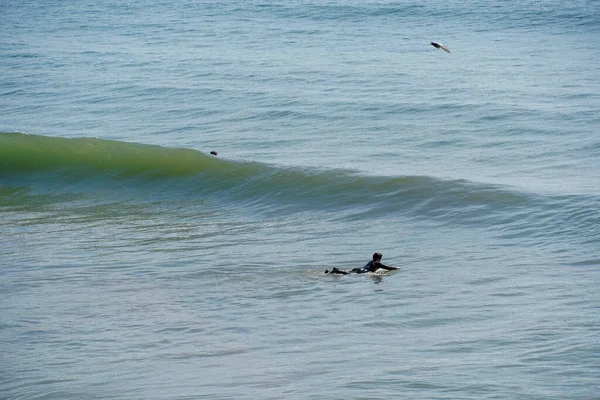 米国カリフォルニア州サンディエゴ北部のオーシャンサイドで大きな波を楽しむ男性サーファー — ストック写真