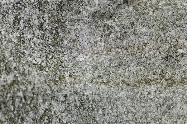 Dış Duvar Pürüzlü Gri Çimento Kısmen Bulanık — Stok fotoğraf