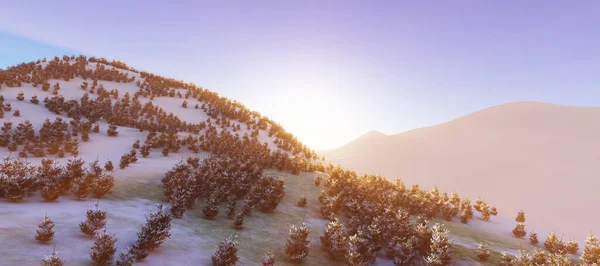 Winter Forest Mountain Sunset —  Fotos de Stock