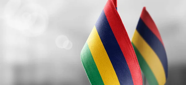 Маленькие Национальные Флаги Маврикия Легком Размытом Фоне — стоковое фото