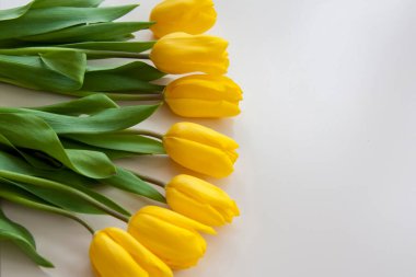 Bir buket taze sarı lale. Masanın üstünde bir buket lale var. İç kısımda bahar çiçekleri var. Bahar ya da tatil konsepti, 8 Mart, Uluslararası Kadınlar Günü