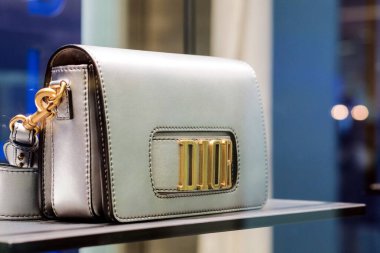 Kadınlar için Dior deri çanta koleksiyonu