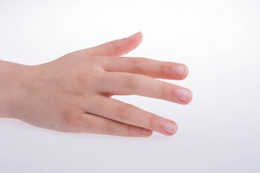 El hareketi için açık