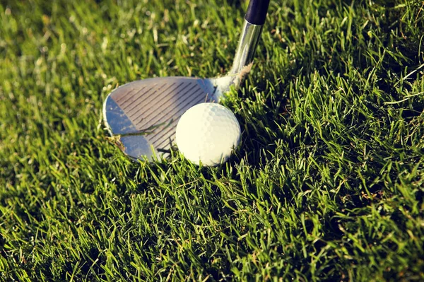 ゴルフ クラブ ゴルフ ボールの芝生の上 — ストック写真