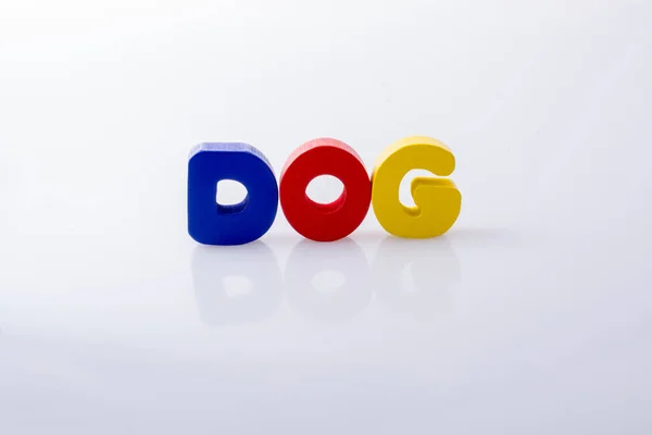 Dog 这个词用五颜六色的字母块写成 — 图库照片