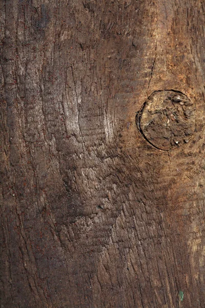 木の背景のスティルライフ写真 — ストック写真
