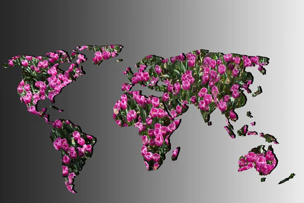 チューリップ ガーデン充填と大体輪郭を描かれた世界地図 — ストック写真