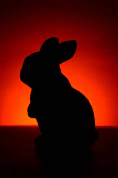 Furry Bunny Rabbit Hintergrundansicht — Stockfoto