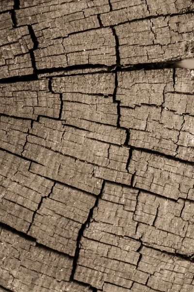 Old Weathered Cracked Tree Stump Texture Background — Stock Photo, Image