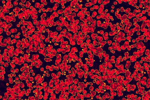Bakteri Hücre Şekli Cocci Basiller Spirillum Bakteri — Stok fotoğraf