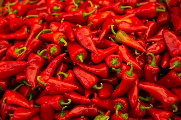 Spousta Červené Papriky Jako Jídlo Pozadí — Stock fotografie