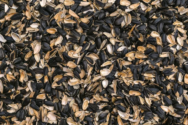 Dry Sunflower Seeds Husk Large Quantities Texture Background — Stock Photo, Image