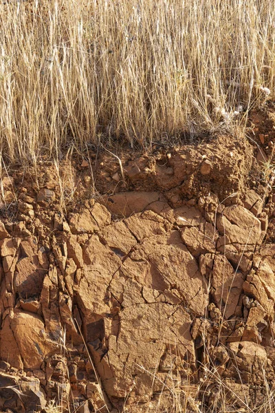 Посушлива Суха Земля Влітку Андалусії — стокове фото