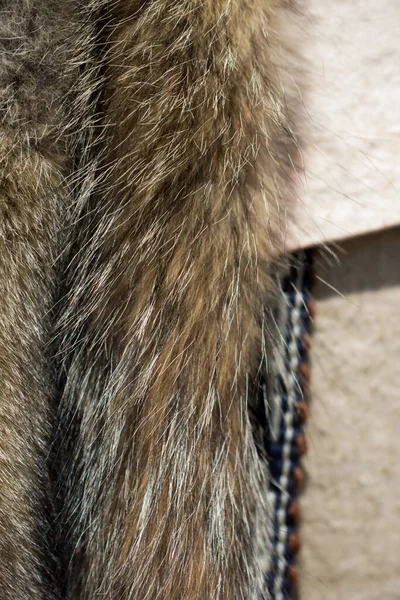 Decorative Animal Fur Background — Stock Photo, Image
