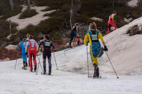 Bitiş Çizgisindeki Kayakçılar Ismf Şampiyonası Comapedrosa Andorra 2021 Dikey Yarış — Stok fotoğraf