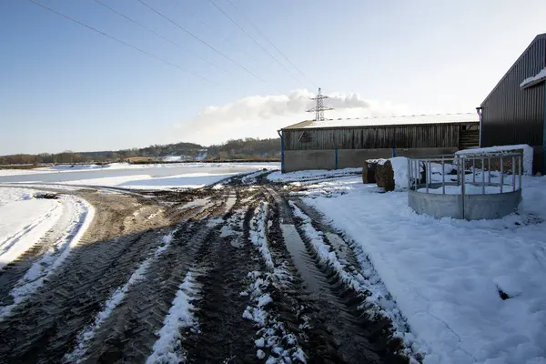 冬の泥のトラックの背景ビュー — ストック写真