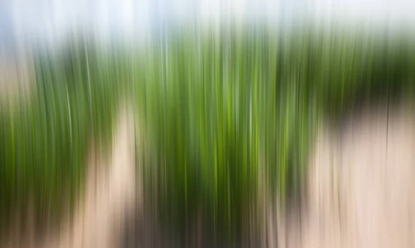 ぼやけた緑の草の景色 — ストック写真