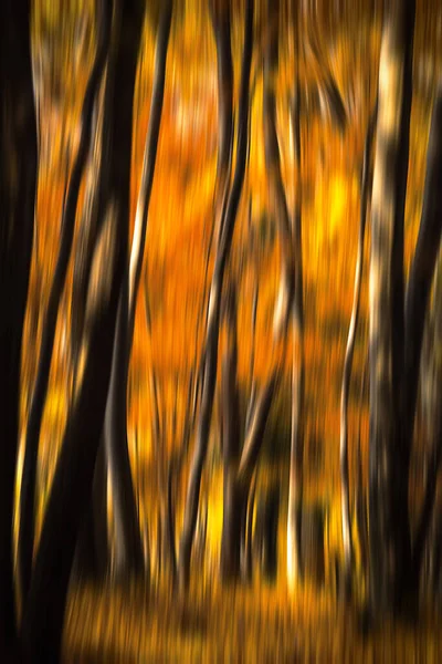 Abstrakt Orange Suddig Natur Bakgrund — Stockfoto