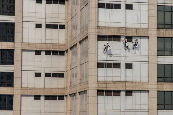 Group Workers Cleaning Windows Service High Rise Office Building — Stock fotografie