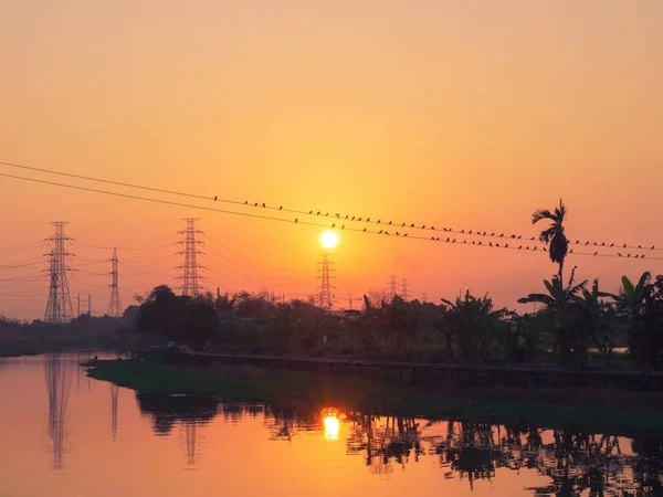 Silhouette Scenic Twilight Sky Electricity Transmission Tower Reflection Water Birds — Zdjęcie stockowe