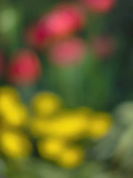 Abstraktní Rozmazaný Obraz Jarní Zahrady — Stock fotografie