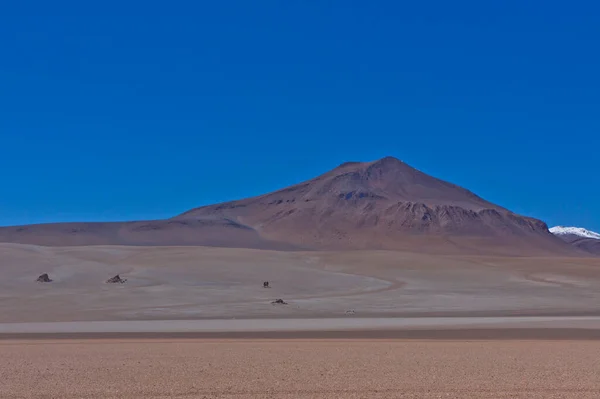 Lacs Altiplano Bolivie Amérique Sud — Photo