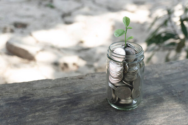 "Растущий завод денег Экономия тайских батовых монет в бутылочном стекле на деревянном столе с эффектом фильтра ретро черный стиль. Концепция экономии денег"