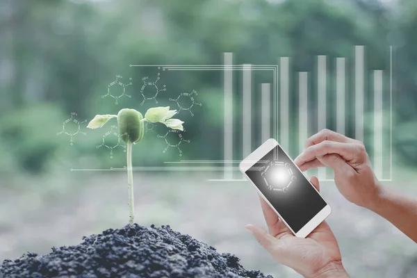 Innovationstechnologie Für Intelligente Biologie Bio System Landwirtschaft Management Aussaat Von — Stockfoto