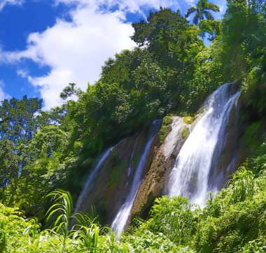 Ormandaki tropik şelale, Trinidad ve Tobago