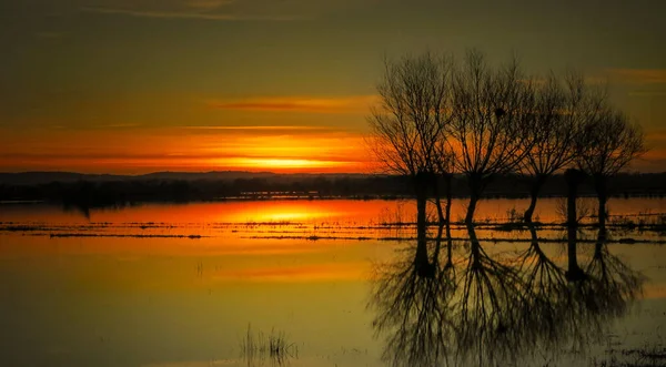 Gün Batımında Ağaçlı Göl Manzarası — Stok fotoğraf