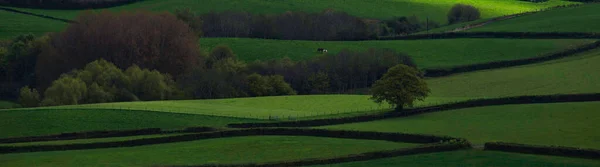 Ландшафт Зеленого Луга — стоковое фото