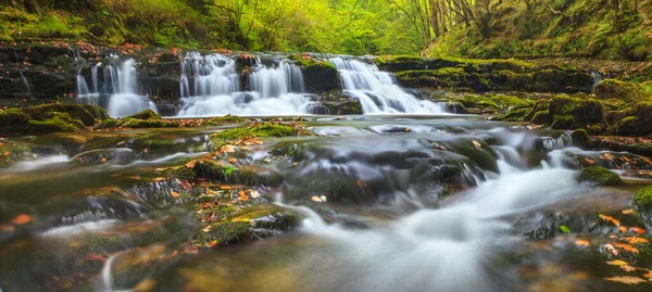 Krajina Vodopádu Lese — Stock fotografie