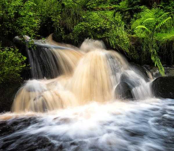 Landschaft Des Wasserfalls Wald — Stockfoto