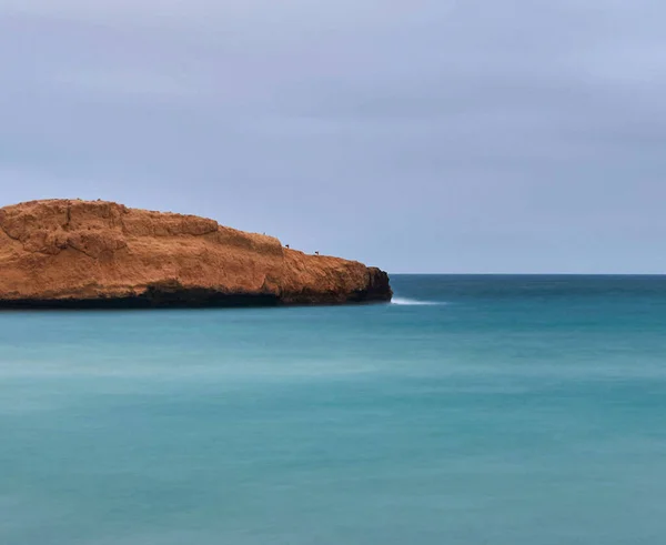 Calm marina scenery, nature in Tunisia