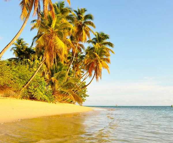 Beautiful Tropical Seascape Trinidad Tobago — Stock Photo, Image