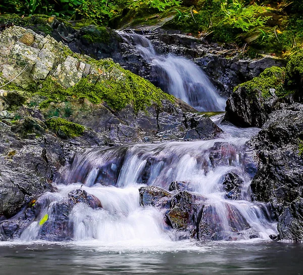 Cachoeira Incrível Caindo Rocha Floresta Trinidad Tobago — Fotografia de Stock