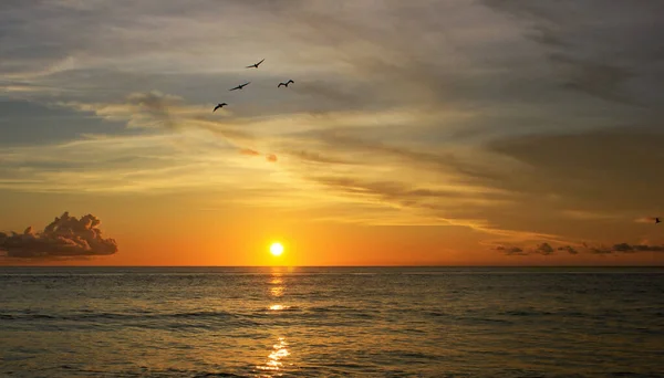 Majestueuze Zonsondergang Scene Aan Zee Trinidad Tobago — Stockfoto
