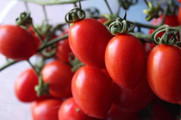 Vista Cerca Tomates Ecológicos Frescos Maduros — Foto de Stock