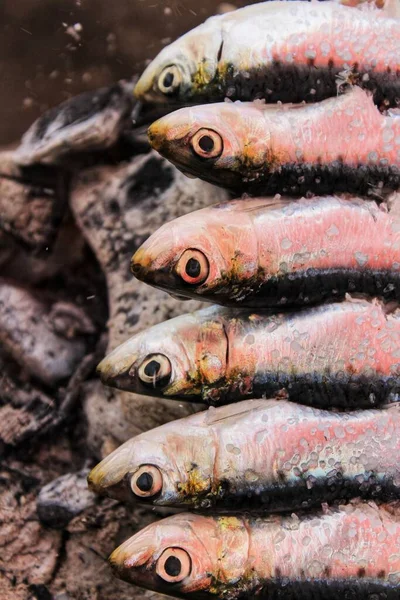 Roasted Sardines Spit Southern Spain — Stock Photo, Image