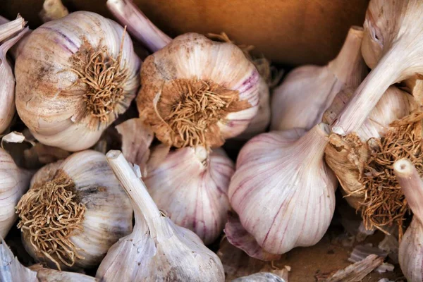 Garlic Sale Market Stall —  Fotos de Stock