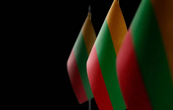 Маленькие Национальные Флаги Литвы Черном Фоне — стоковое фото
