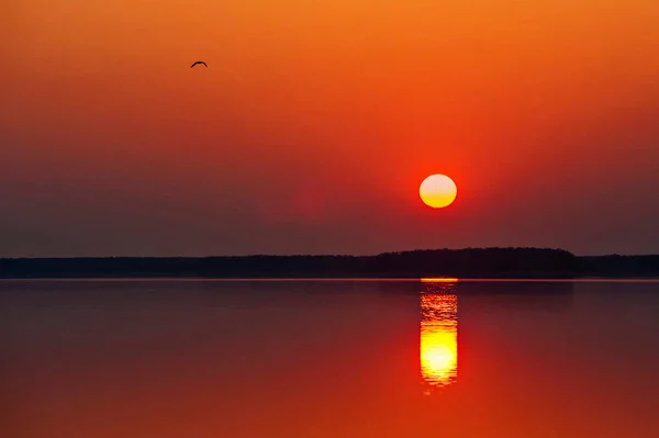Landscape Lake Sunset — Stock Photo, Image