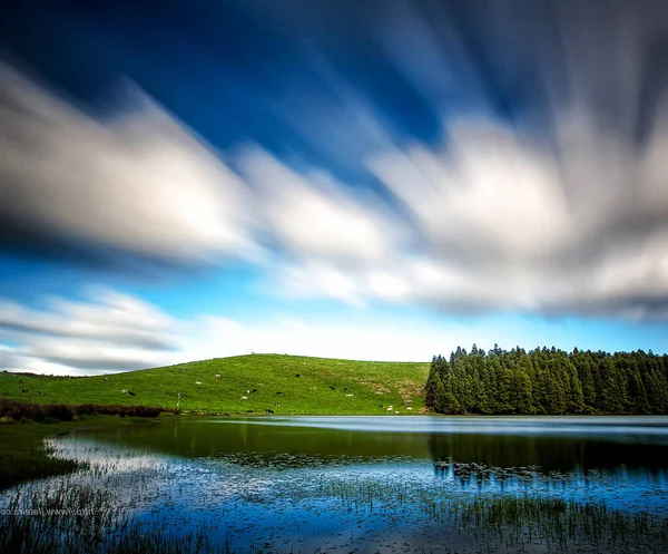 Floresta Verde Com Lago Calmo Com Reflexão Portugal — Fotografia de Stock