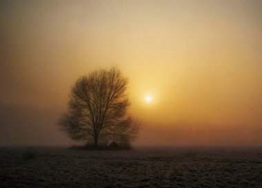Arka plan için güzel dramatik gün batımı manzarası