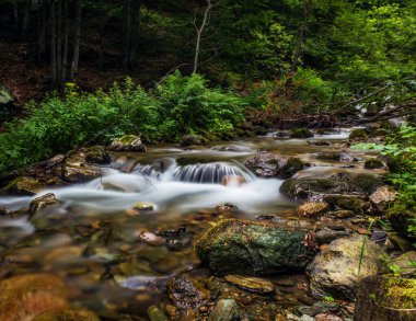 Ormanda kayalarla çevrili küçük bir şelalenin dikey görüntüsü.