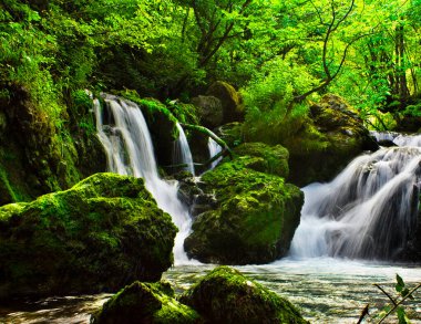 Ormanda güzel bir şelale, arka planda seyahat yeri