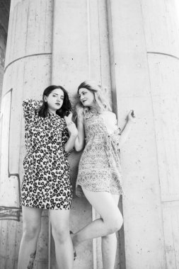 Şehvetli kadın portresi, iki genç kadın. 